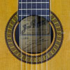 José Ramirez 1a Zeder, Palisander, 1971, Schild, Rosette